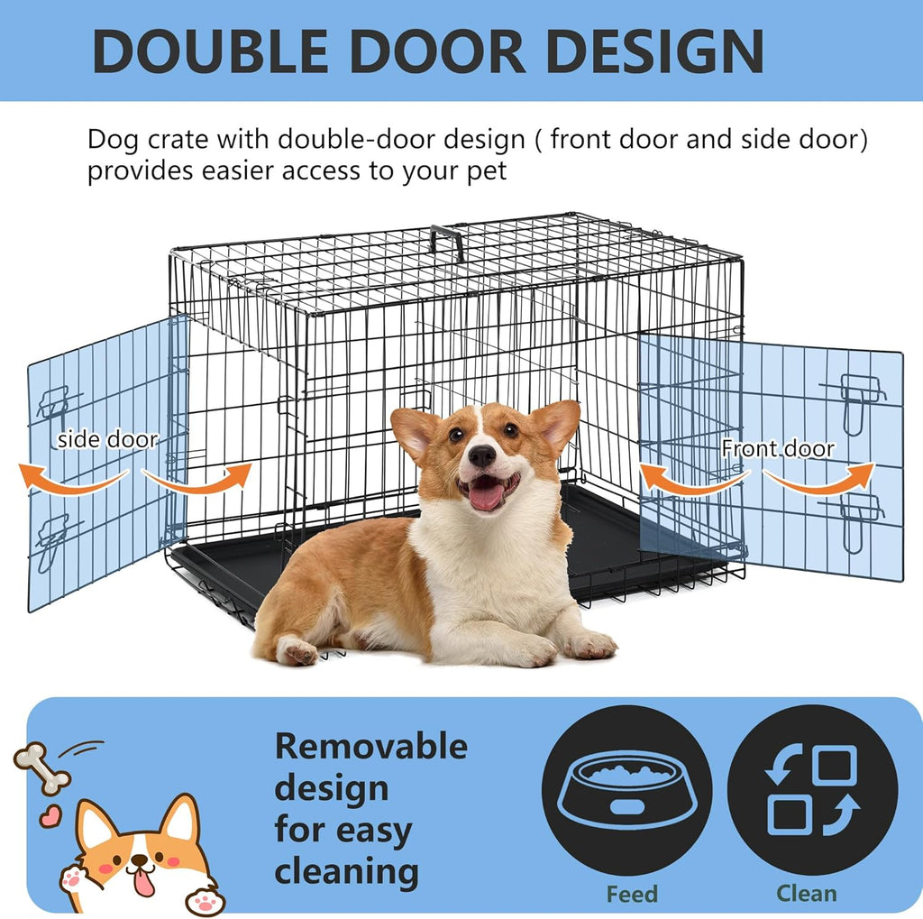 🐶 Foldable Dog Kennel 🏡 Removable Divider for Safe & Cozy Pets