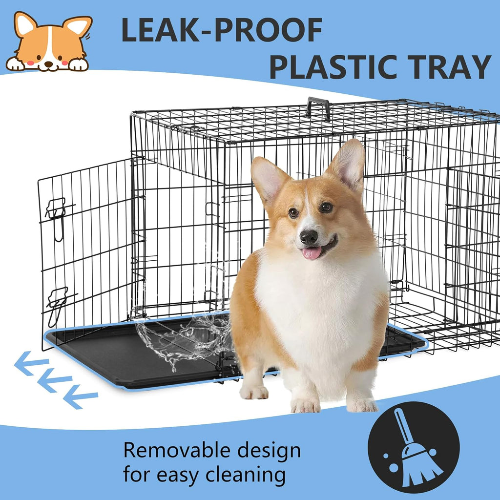 🐶 Foldable Dog Kennel 🏡 Removable Divider for Safe & Cozy Pets